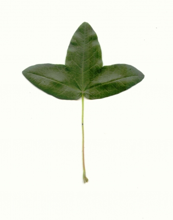 5578
