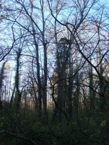 Anonyme, le 28 novembre 2007 (Saint-Julien-de-Peyrolas (proximité de l'Ardèche (rivière et département)))