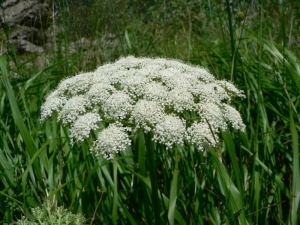 Mathieu MENAND, le 27 juillet 2008 (Oô)