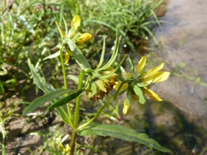 Mathieu MENAND, le 26 septembre 2010 (Villemur-sur-Tarn)
