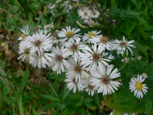 Mathieu MENAND, le 26 octobre 2006 (Souillac)
