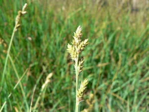 Mathieu MENAND, le 24 août 2008 (L'Hospitalet-près-l'Andorre)