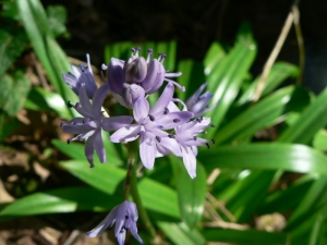 Mathieu MENAND, le 16 mars 2008 (Clermont-le-Fort)
