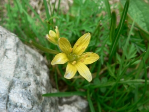 Mathieu MENAND, le  7 juin 2008 (Oô)
