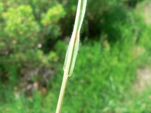 Mathieu MENAND, le 23 mai 2009 (Arcachon)