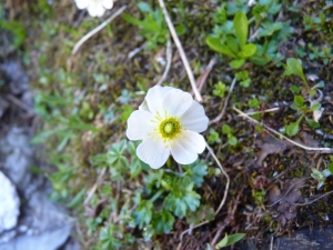 Mathieu MENAND, le 27 juillet 2010 (Estaing)
