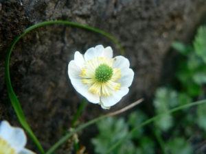 Mathieu MENAND, le 15 juillet 2007 (Bagnères-de-Luchon)