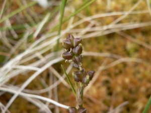 Mathieu MENAND, le 23 juillet 2009 (Finlande)