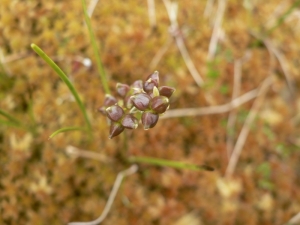 Mathieu MENAND, le 23 juillet 2009 (Finlande)
