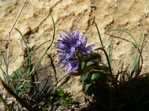 Mathieu MENAND, le  3 août 2008 (Gavarnie)