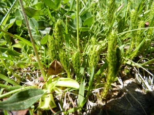 Mathieu MENAND, le 16 juillet 2010 (Eyne)