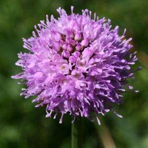 John De Vos, le  5 juillet 2006 (Mont-Saxonnex (Morsulaz))