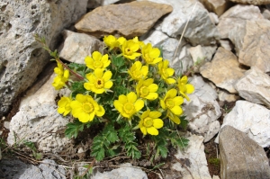 Jean-Luc Gorremans, le 28 juillet 2010 (Pralognan-la-Vanoise)