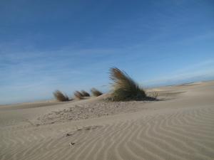 Marie  Portas, le 10 octobre 2011 (Le Grau-du-Roi (L'Espiguette))