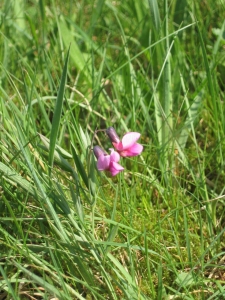 Laurent Petit, le 20 avril 2009 (Monthermé)
