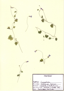 Laurent Petit, le 10 août 2006 (La Feuillée)