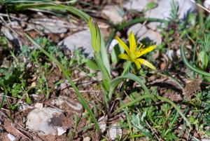 Jean-Jacques Houdré, le  1 avril 2011 (Liausson (La Grange))