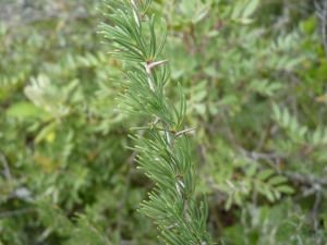 Mathieu MENAND, le 25 avril 2011 (Portugal)