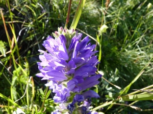 Mathieu MENAND, le 18 juillet 2011 (Lanslebourg-Mont-Cenis)