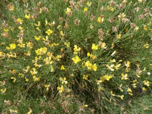 Mathieu MENAND, le 12 juillet 2011 (Manteyer)