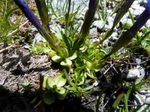 Mathieu MENAND, le 18 juillet 2011 (Bramans)