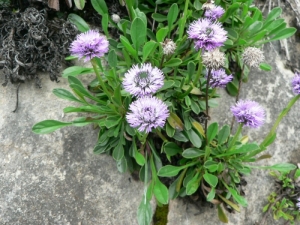 Mathieu MENAND, le 15 mai 2009 (Raissac)