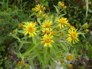 Mathieu MENAND, le 12 juillet 2011 (Châtillon-en-Diois)