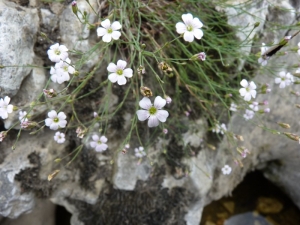 Mathieu MENAND, le 13 juin 2011 (Bidon)