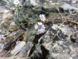Mathieu MENAND, le 13 juin 2011 (Bidon)