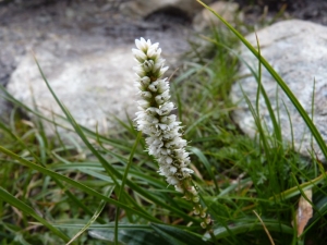 Mathieu MENAND, le 21 juillet 2011 (Bonneval-sur-Arc)