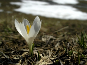 André LAMY, le 15 avril 2007 (Aussois (Les Arponts))