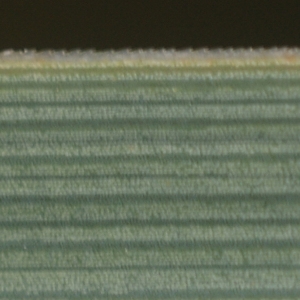 Photographie n°63718 du taxon Cladium mariscus (L.) Pohl [1809]