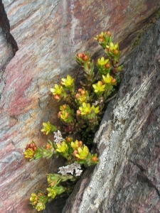 Alain Bigou, le 12 juin 2005 (Eyne (Vallée d'Eyne))