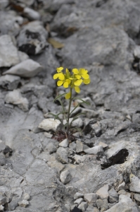 Raymond HALLOT, le 26 avril 2012 (Propiac)