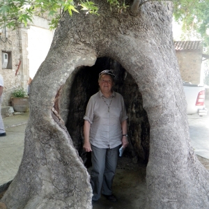 Photographie n°70765 du taxon Platanus orientalis L. [1753]