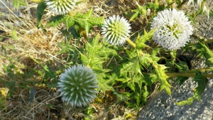 Liliane Roubaudi, le 30 avril 2012 (Crète (aéroport))