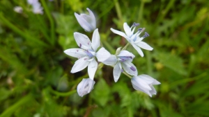 Michel SOURIOUX, le  5 mai 2012 (Saint-Julien-le-Vendômois)