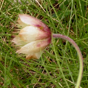 Alain Bigou, le  8 juillet 2005 (Loudenvielle (Caillaouas))