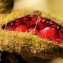  liliane Pessotto - Paeonia mascula subsp. mascula 