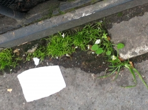 PAULINE PWLS, le 12 novembre 2012 (Paris (Rue Hélène))