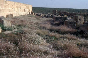 Liliane Roubaudi, le 18 mars 2004 (Tunisie)
