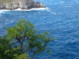 Liliane Roubaudi, le  9 décembre 2007 (Guadeloupe)