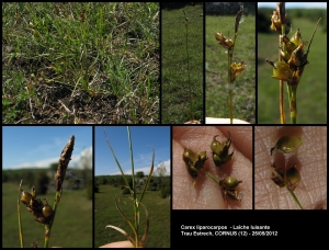 Alain Poirel, le 25 mai 2012 (Cornus)