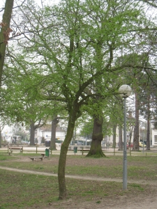 Hervé GOËAU, le 31 mars 2012 (Sainte-Geneviève-des-Bois)