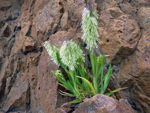 Emmanuel Stratmains, le 26 avril 2013 (Saint-Raphaël (cap du dramont))