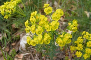Jean-Claude Calais, le 23 avril 2008 (Marvejols)