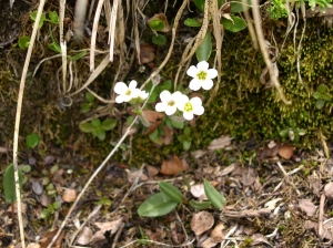 Christophe GIROD, le 11 juillet 2005 (Col de la Vanoise)