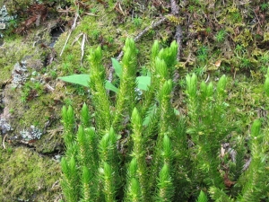 Christophe GIROD, le 16 juillet 2005 (Courchevel)