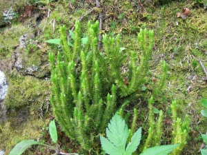 Christophe GIROD, le 16 juillet 2005 (Courchevel)