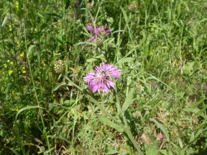 Christophe GIROD, le 27 décembre 2007 (Porto-Vecchio (STEP))